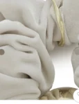 2026 秋冬新款～New 🇯🇵 FRAY ID 氣質金屬球 絲絨大腸橡筋 ～オリジナルロゴボールベロアシュシュ